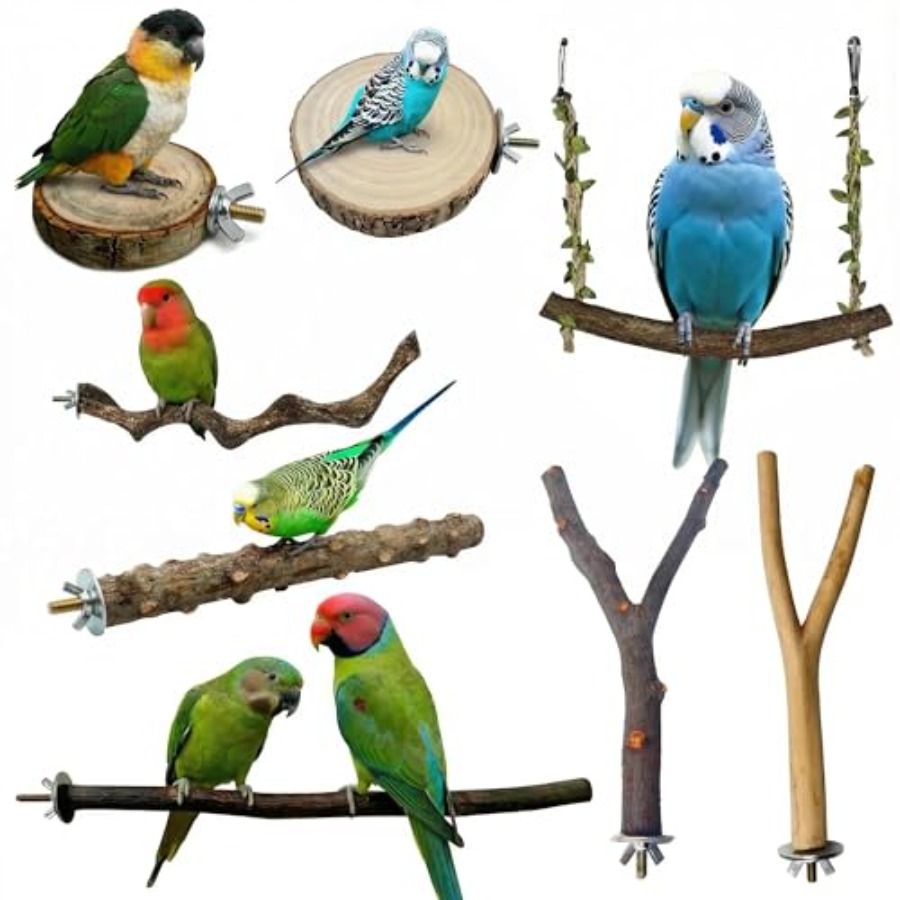 Health & Wellness Lions - 8PCS natural wood bird perches for