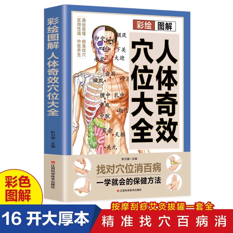 Health & Wellness Focus - Acupoint Massage & TCM Health Preservation