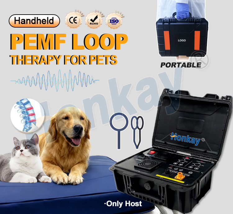 Personal Pet Care PEMF Device  - огляд і ціна Health Wellness Massage