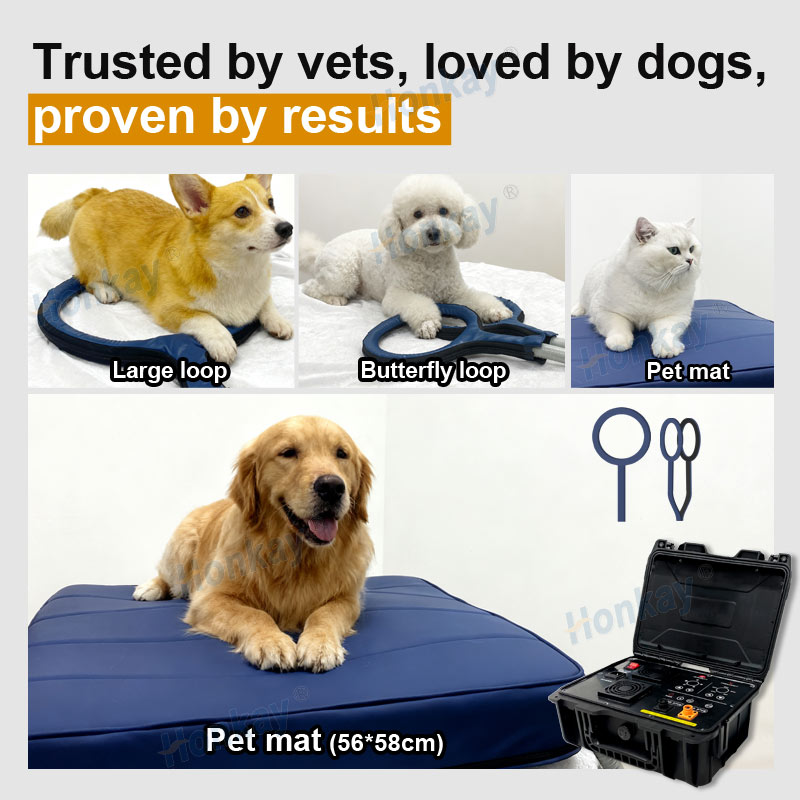 Personal Pet Care PEMF Device  - огляд і ціна Health Wellness Massage